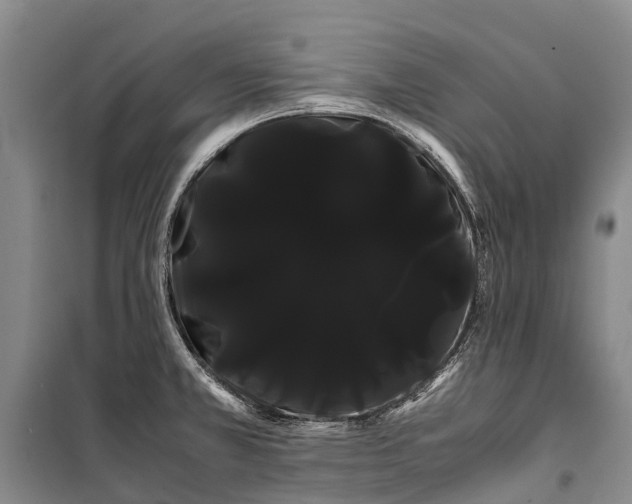 X0000100221381200806131305