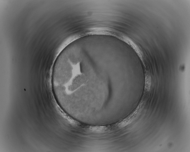 X0000100221386200806131305