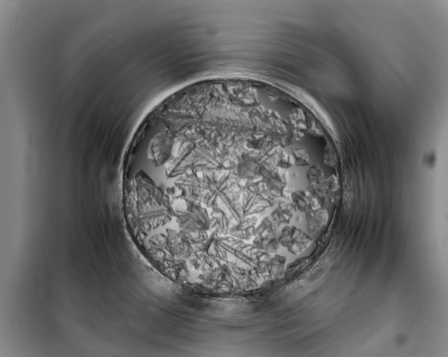 X0000100221388200806131305