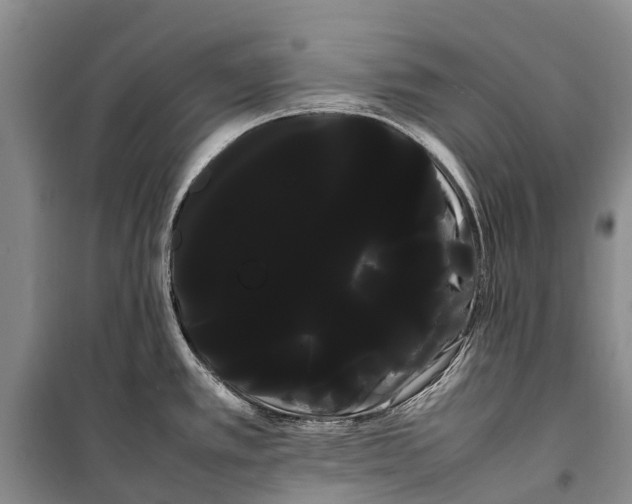 X0000100221389200806131305