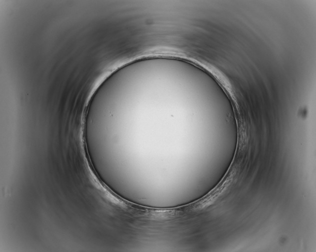 X0000100221390200806131305