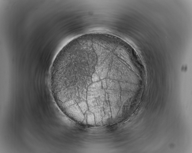 X0000100221392200806131305