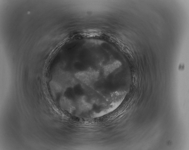 X0000100221393200806131304