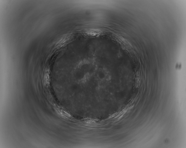 X0000100221394200806131304