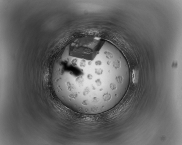 X0000100221395200806131304