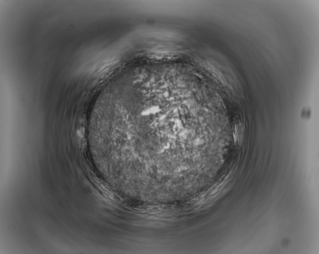 X0000100221396200806131304