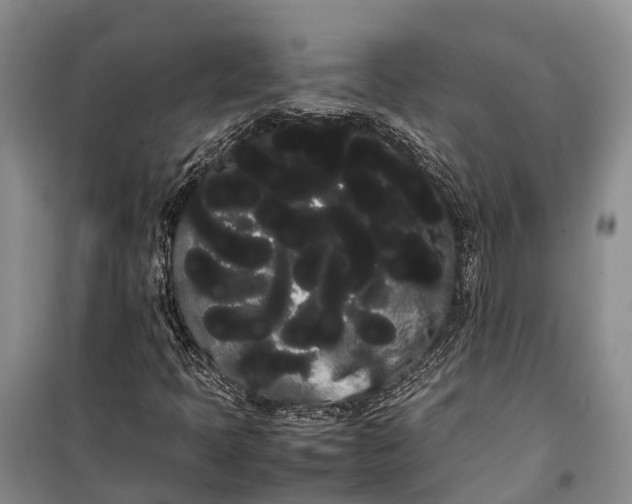 X0000100221397200806131304