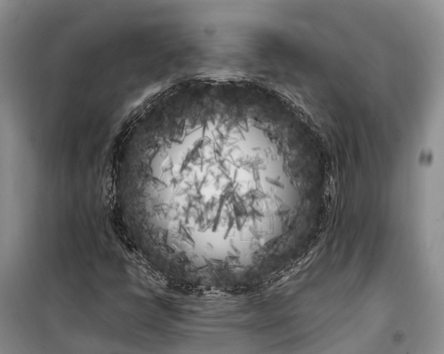 X0000100221398200806131304