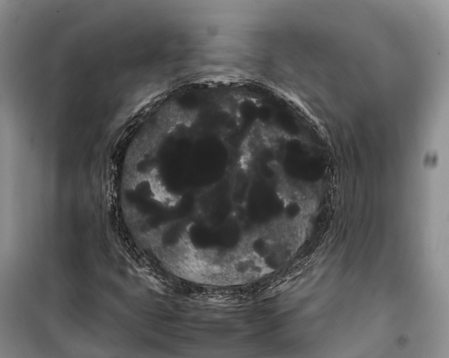 X0000100221399200806131304