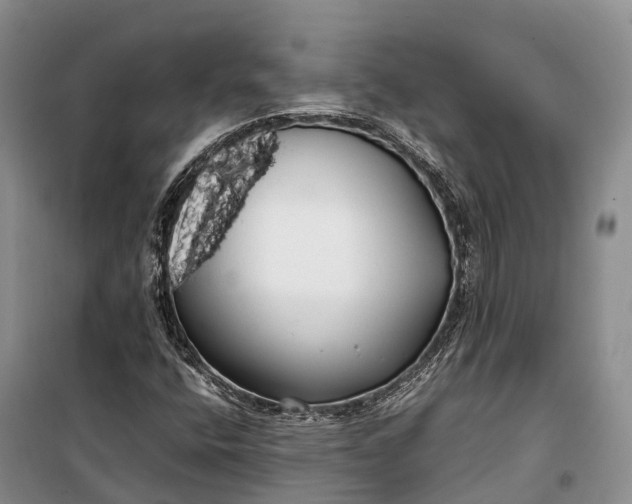 X0000100221400200806131304