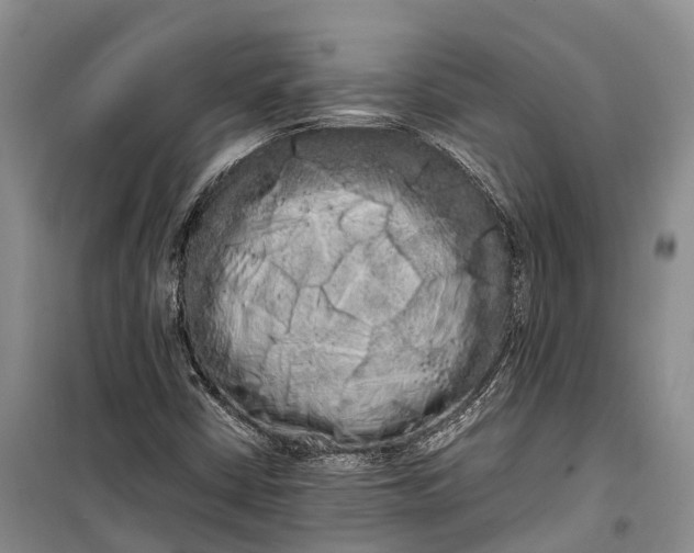 X0000100221402200806131304