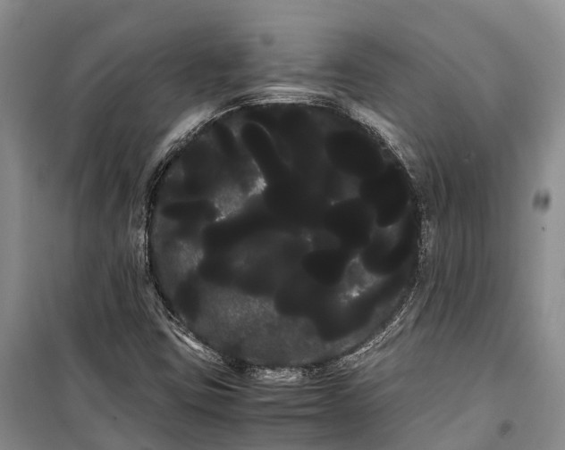 X0000100221403200806131304