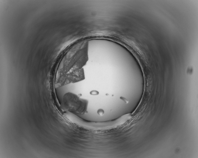 X0000100221404200806131304