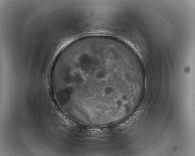 X0000100221405200806131304