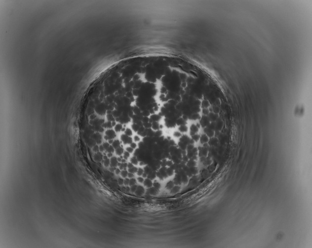 X0000100221407200806131304