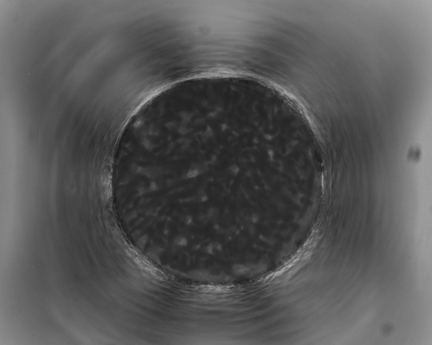 X0000100221409200806131304