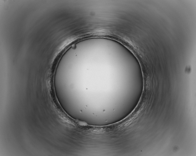 X0000100221410200806131304