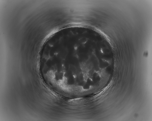 X0000100221411200806131304