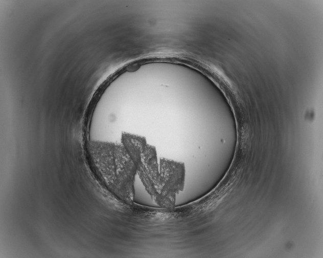 X0000100221412200806131304