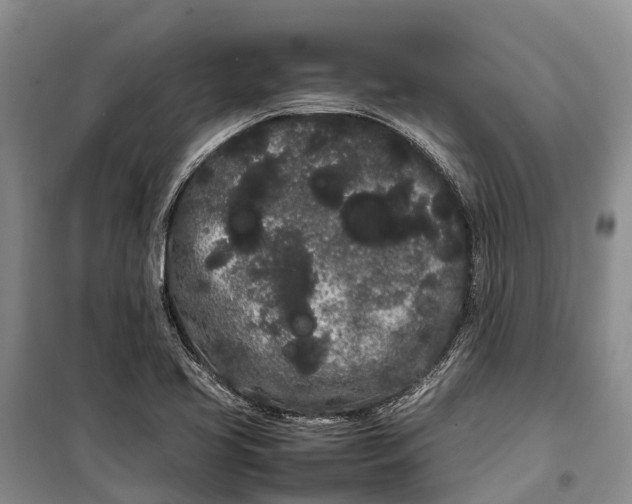 X0000100221413200806131304