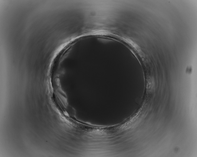 X0000100221414200806131304