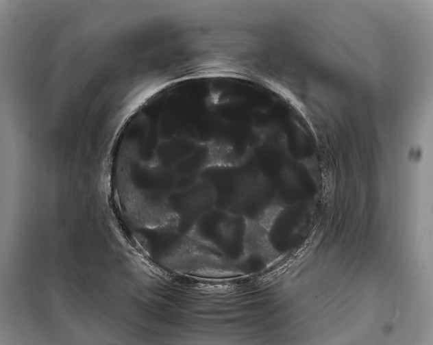 X0000100221415200806131304