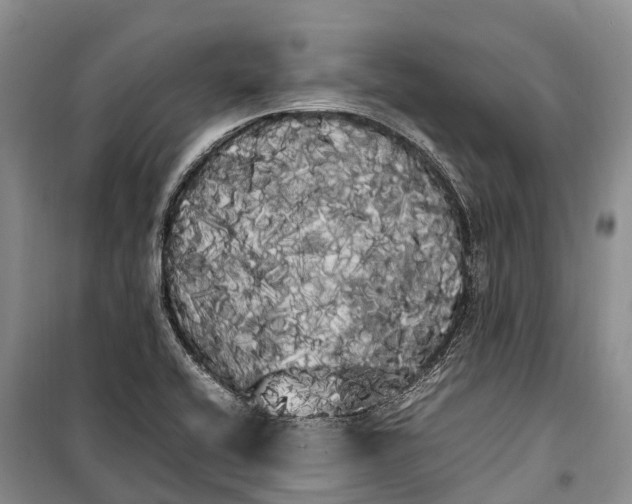 X0000100221416200806131304