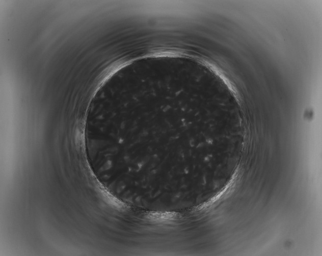 X0000100221417200806131304