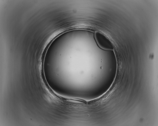 X0000100221418200806131304