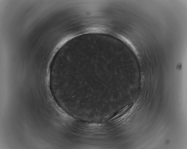 X0000100221419200806131304