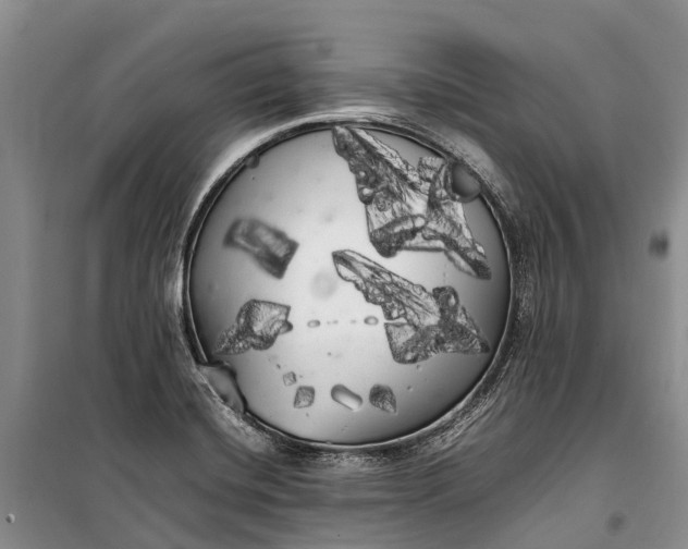 X0000100221420200806131304