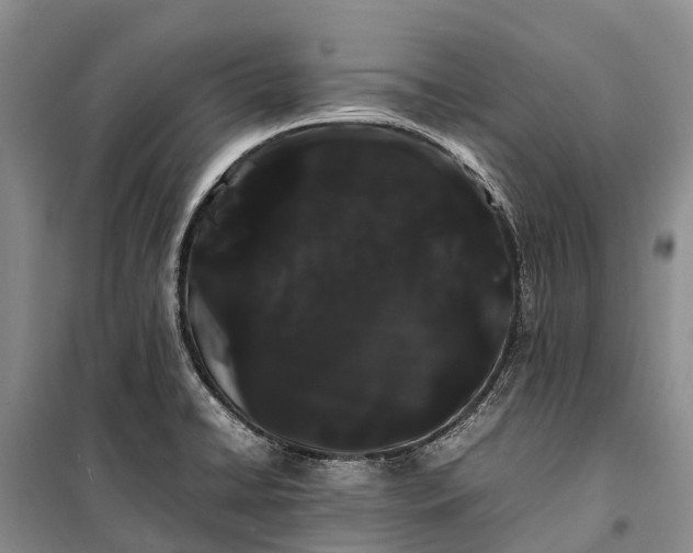 X0000100221422200806131304