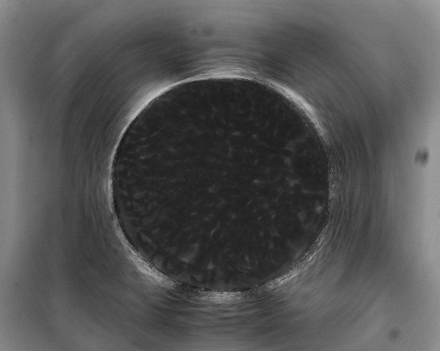 X0000100221423200806131304