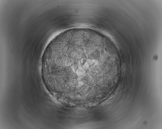 X0000100221424200806131304