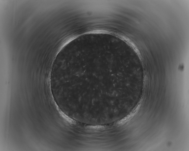 X0000100221425200806131304