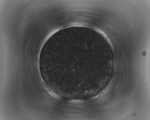 X0000100221427200806131304