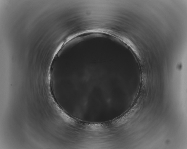 X0000100221428200806131304