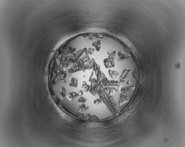 X0000100221430200806131304