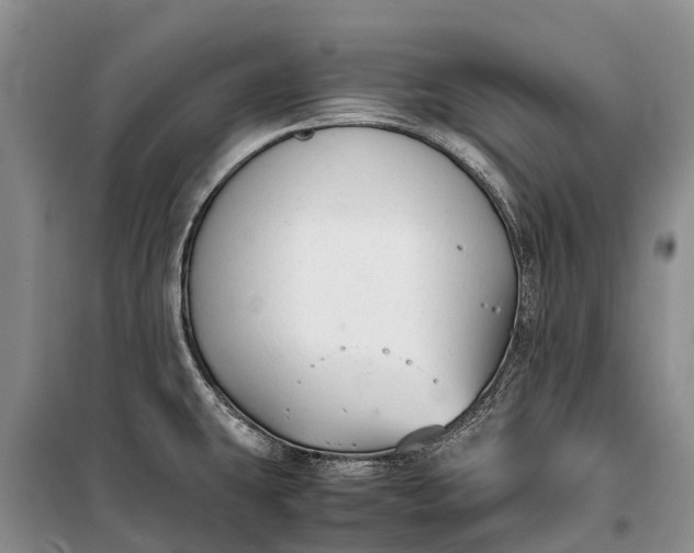 X0000100221431200806131304