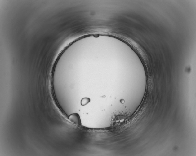 X0000100221432200806131304