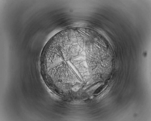 X0000100221434200806131304