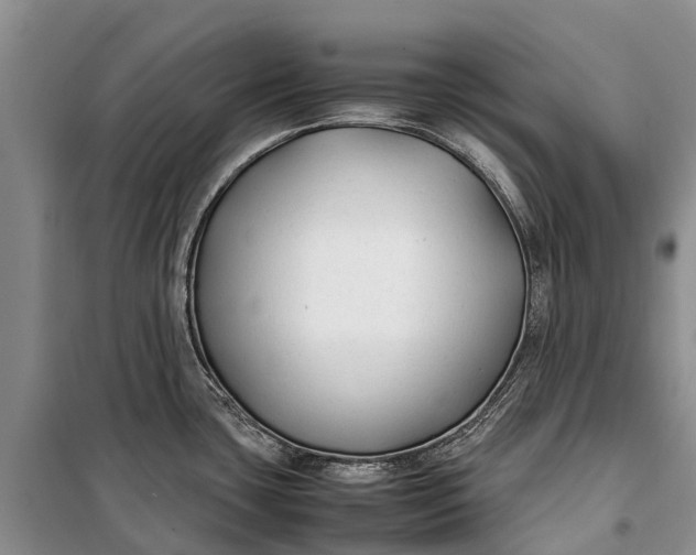 X0000100221435200806131304