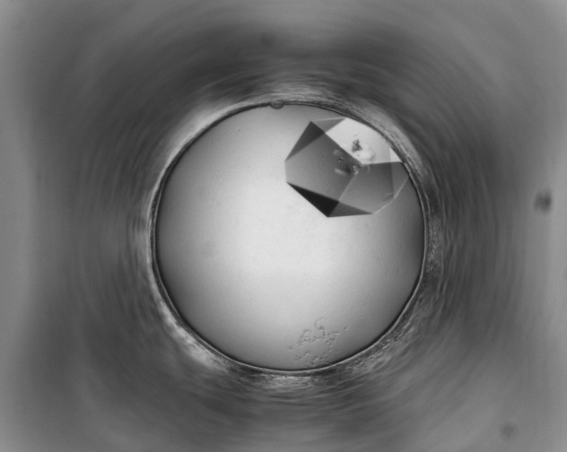 X0000100221439200806131305