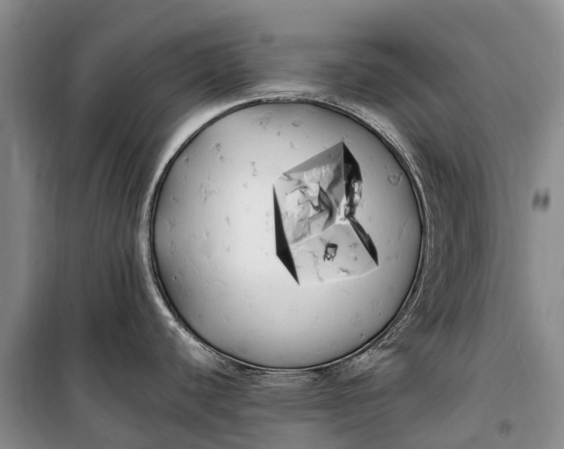 X0000100221440200806131305