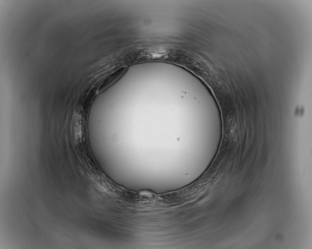 X0000100221442200806131304