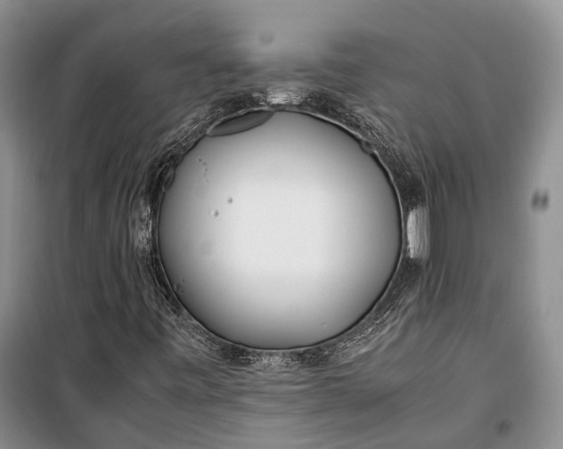 X0000100221443200806131304