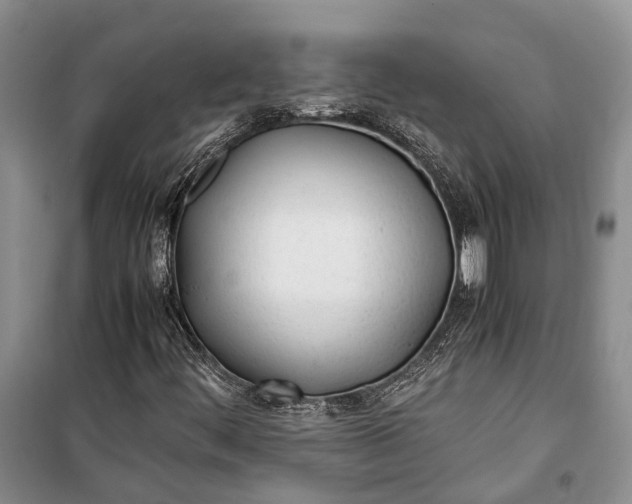 X0000100221444200806131304