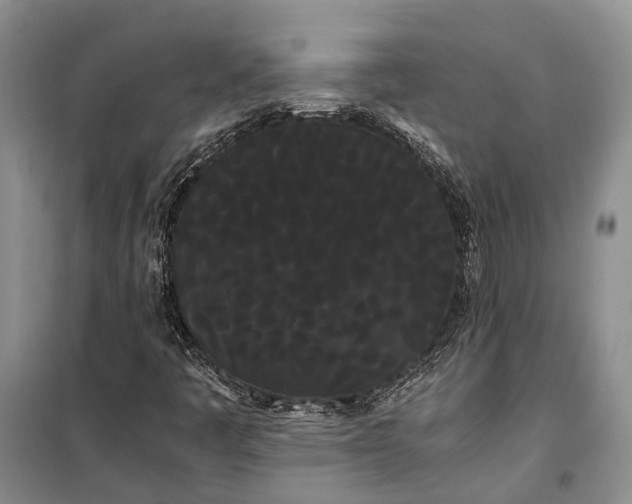 X0000100221445200806131304