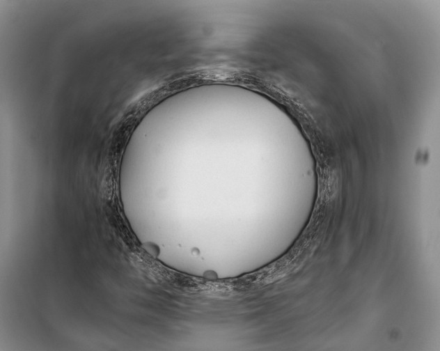 X0000100221446200806131304