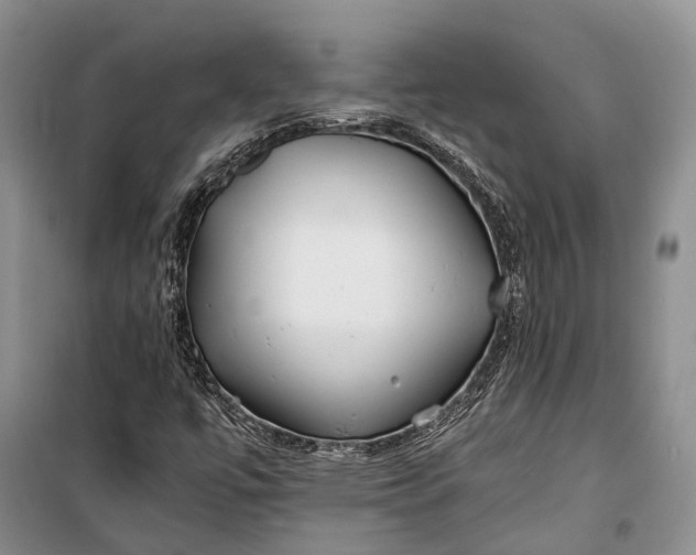 X0000100221447200806131304